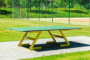 ping-pong_300.jpg